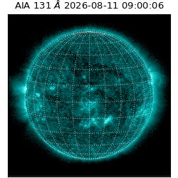 saia - 2026-08-11T09:00:06.620000