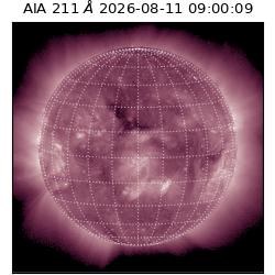 saia - 2026-08-11T09:00:09.631000