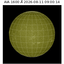 saia - 2026-08-11T09:00:14.123000