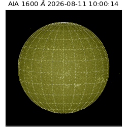 saia - 2026-08-11T10:00:14.129000