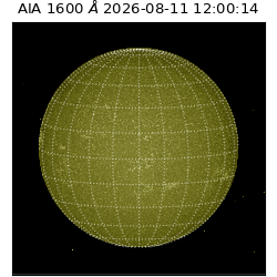 saia - 2026-08-11T12:00:14.132000