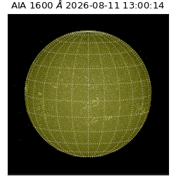 saia - 2026-08-11T13:00:14.130000
