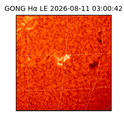 gong - 2026-08-11T03:00:42