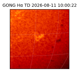 gong - 2026-08-11T10:00:22