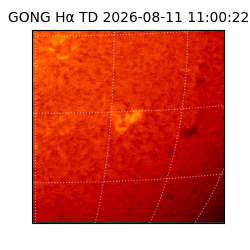gong - 2026-08-11T11:00:22