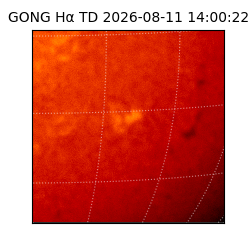 gong - 2026-08-11T14:00:22