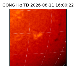 gong - 2026-08-11T16:00:22