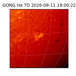 gong - 2026-08-11T18:00:22
