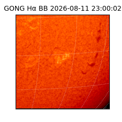 gong - 2026-08-11T23:00:02