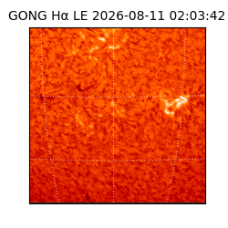 gong - 2026-08-11T02:03:42