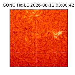 gong - 2026-08-11T03:00:42