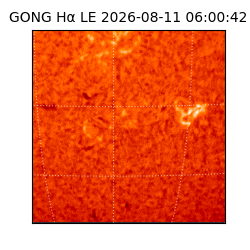 gong - 2026-08-11T06:00:42