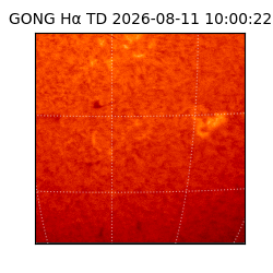 gong - 2026-08-11T10:00:22