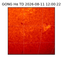 gong - 2026-08-11T12:00:22