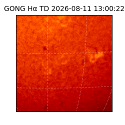 gong - 2026-08-11T13:00:22