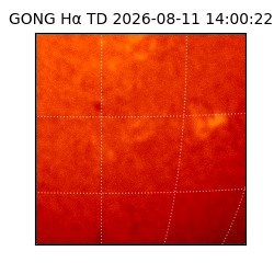 gong - 2026-08-11T14:00:22