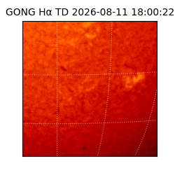 gong - 2026-08-11T18:00:22