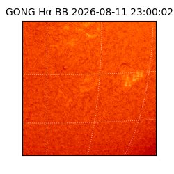 gong - 2026-08-11T23:00:02