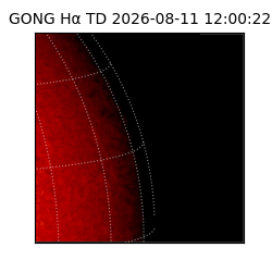 gong - 2026-08-11T12:00:22