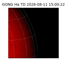 gong - 2026-08-11T15:00:22