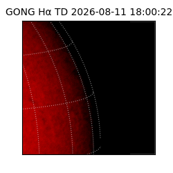 gong - 2026-08-11T18:00:22