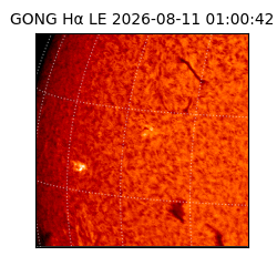 gong - 2026-08-11T01:00:42