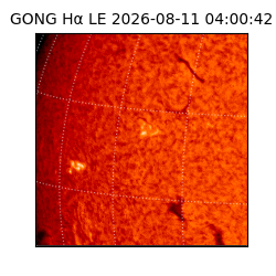 gong - 2026-08-11T04:00:42