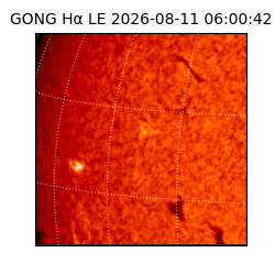 gong - 2026-08-11T06:00:42