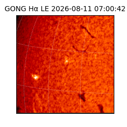 gong - 2026-08-11T07:00:42