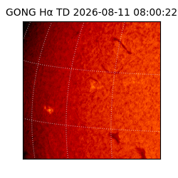 gong - 2026-08-11T08:00:22