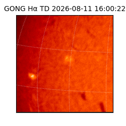 gong - 2026-08-11T16:00:22