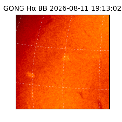 gong - 2026-08-11T19:13:02