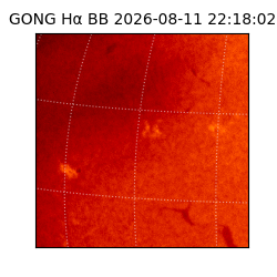 gong - 2026-08-11T22:18:02