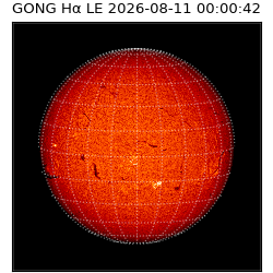 gong - 2026-08-11T00:00:42