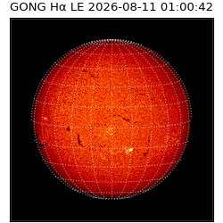 gong - 2026-08-11T01:00:42