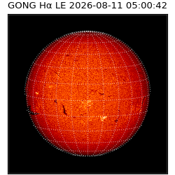 gong - 2026-08-11T05:00:42