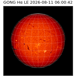 gong - 2026-08-11T06:00:42