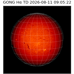 gong - 2026-08-11T09:05:22