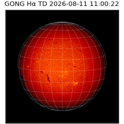 gong - 2026-08-11T11:00:22