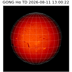 gong - 2026-08-11T13:00:22