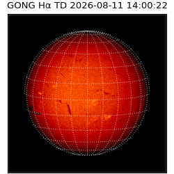 gong - 2026-08-11T14:00:22