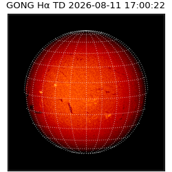gong - 2026-08-11T17:00:22
