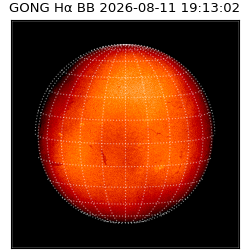 gong - 2026-08-11T19:13:02