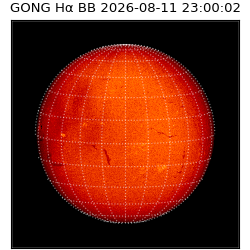 gong - 2026-08-11T23:00:02