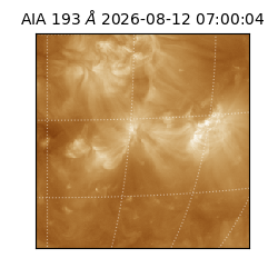 saia - 2026-08-12T07:00:04.842000