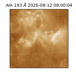 saia - 2026-08-12T08:00:04.842000