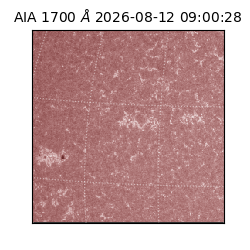 saia - 2026-08-12T09:00:28.717000