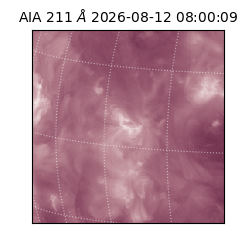 saia - 2026-08-12T08:00:09.623000