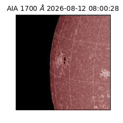 saia - 2026-08-12T08:00:28.717000