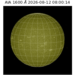 saia - 2026-08-12T08:00:14.124000